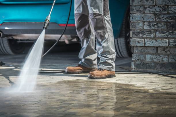Best Gutter Cleaning  in Hawthorne, NV